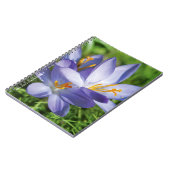 Crocus Notizblock (Linke Seite)