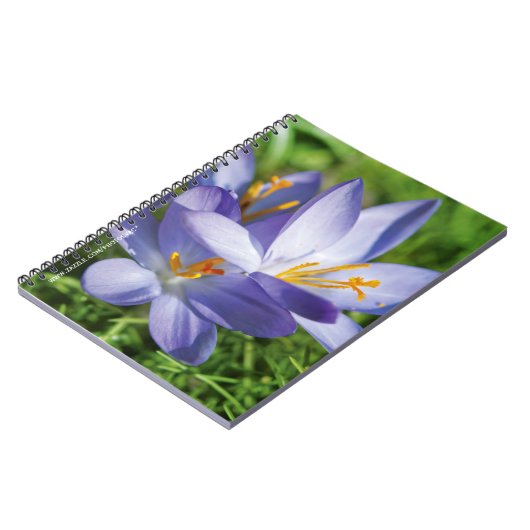 Crocus Notizblock (Linke Seite)