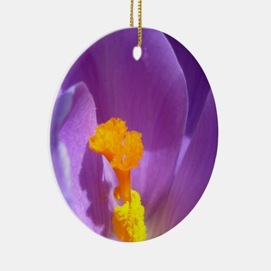 Crocus Ornament Purple Flowers Dekoration (Rechts)