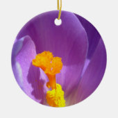 Crocus Ornament Purple Flowers Dekoration (Vorne)