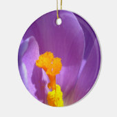 Crocus Ornament Purple Flowers Dekoration (Links)