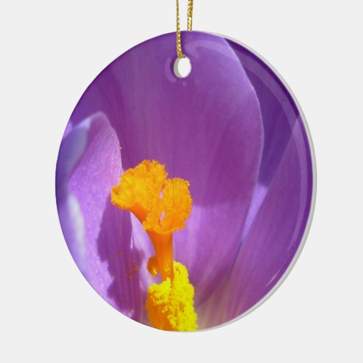 Crocus Ornament Purple Flowers Dekoration (Links)