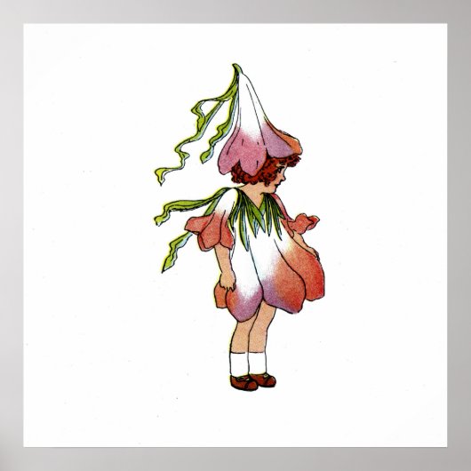 Crocus Poster (Vorne)