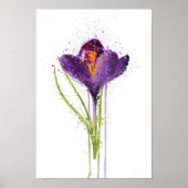 Crocus Poster (Vorne)