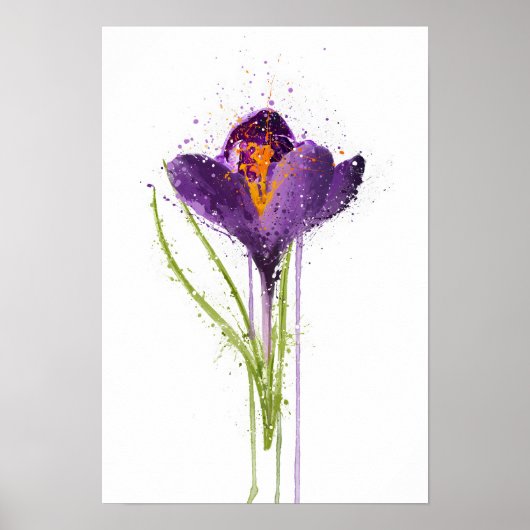 Crocus Poster (Vorne)