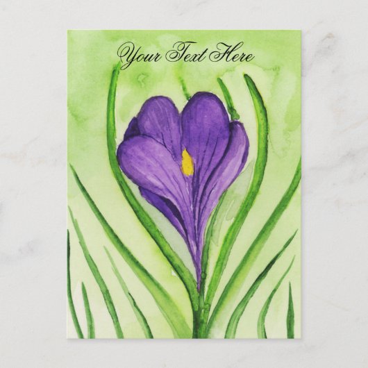 Crocus Postkarte (Vorderseite)