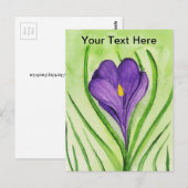 Crocus Postkarte (Vorne/Hinten)