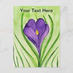 Crocus Postkarte
