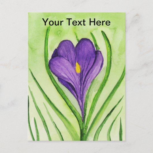 Crocus Postkarte (Vorderseite)