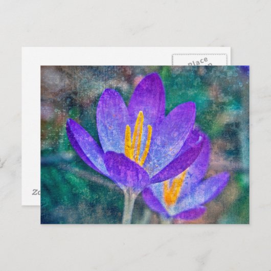 Crocus Postkarte (Vorne/Hinten)