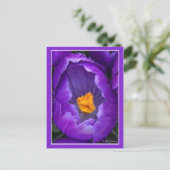 Crocus Postkarte (Stehend Vorderseite)