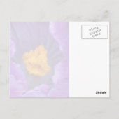 Crocus Postkarte (Rückseite)