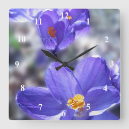 Crocus Purple Flowers Foto Quadratische Wanduhr