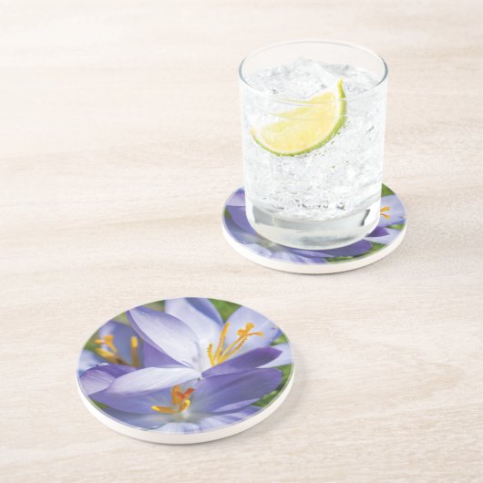 Crocus Sandstein Untersetzer (Seite)