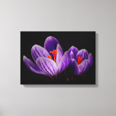 Crocus Silhouette Leinwanddruck (Vorderseite)