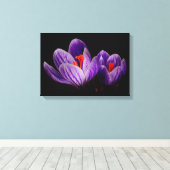 Crocus Silhouette Leinwanddruck (Insitu (Holzboden))