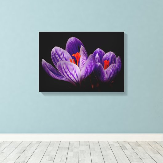 Crocus Silhouette Leinwanddruck (Insitu (Holzboden))