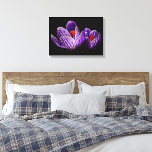 Crocus Silhouette Leinwanddruck (Insitu (Schlafzimmer))