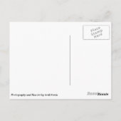 Crocus Snowdrop und Wassertröpfchen Postkarte (Rückseite)