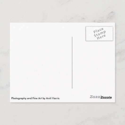 Crocus Snowdrop und Wassertröpfchen Postkarte (Rückseite)