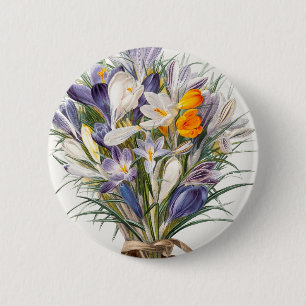 Crocus Spring Blume Florenz Button