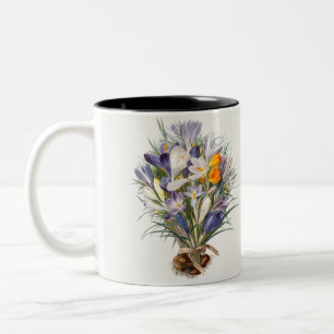 Crocus Spring Blume Florenz Zweifarbige Tasse