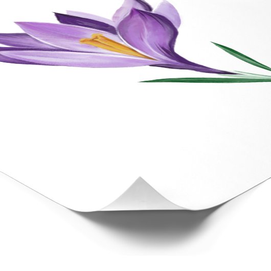 Crocus Spring Blume Fotodruck (Ecke)
