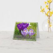 Crocus Spring Card Karte (Gelbe Blume)