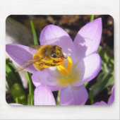 CROCUS TASTER # 2 ~ Mousepad (Vorne)