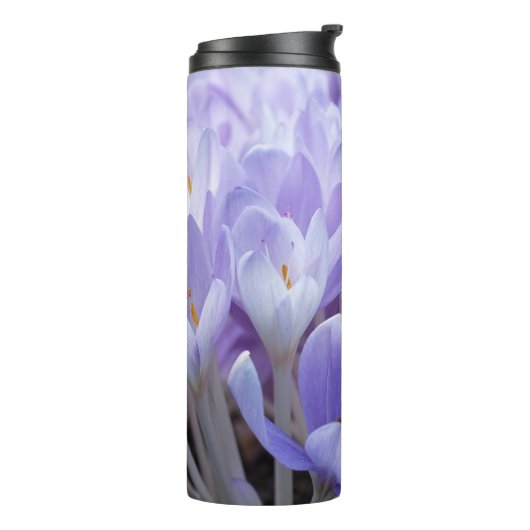 Crocus Thermosbecher (Nach links gedreht)