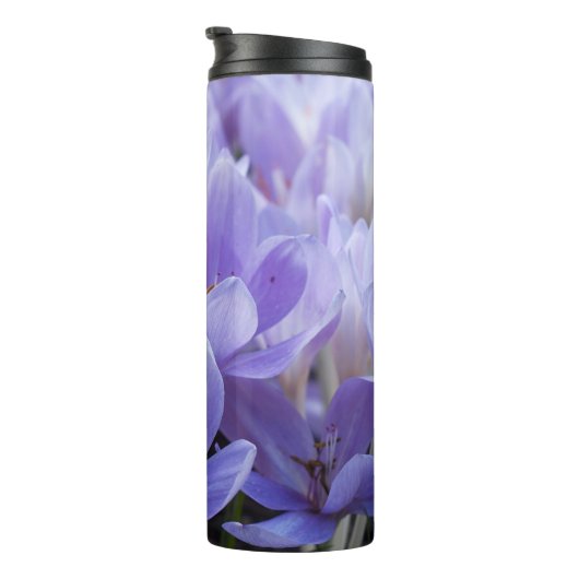 Crocus Thermosbecher (Nach rechts gedreht)