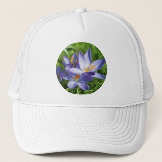 Crocus Truckerkappe (Vorderseite)