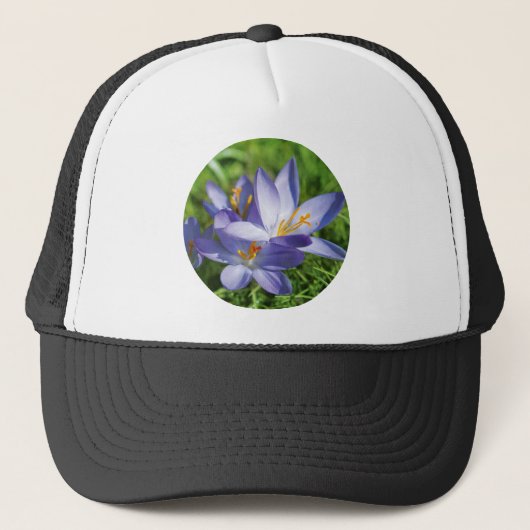 Crocus Truckerkappe (Vorderseite)
