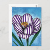 Crocus Will Preen Postcard Postkarte (Vorne/Hinten)
