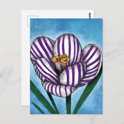 Crocus Will Preen Postcard Postkarte (Vorne/Hinten)