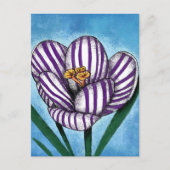 Crocus Will Preen Postcard Postkarte (Vorderseite)