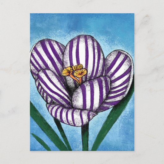 Crocus Will Preen Postcard Postkarte (Vorderseite)