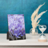 Crocus Wrapped Canvas Print Fotoplatte (Seite)