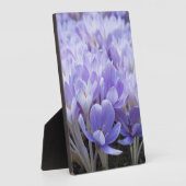 Crocus Wrapped Canvas Print Fotoplatte (Seite)