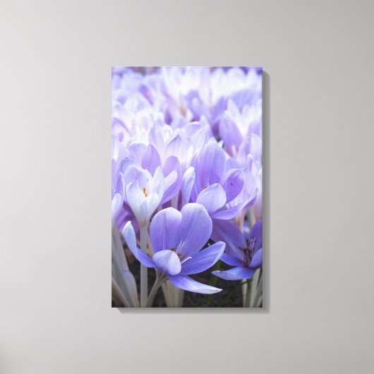 Crocus Wrapped Canvas Print Leinwanddruck (Vorderseite)