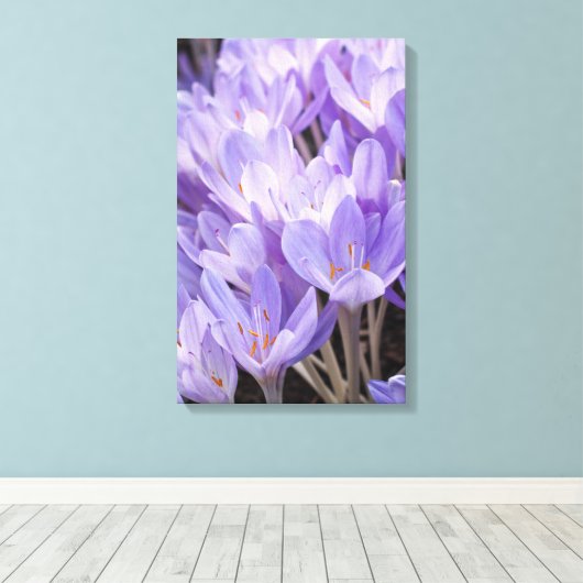 Crocus Wrapped Canvas Print Leinwanddruck (Insitu (Holzboden))