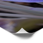 Crocus Wrapped Canvas Print Poster (Ecke)