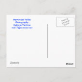 Crocuses Postcard Postkarte (Rückseite)