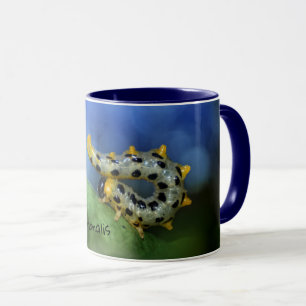 Croesus septentrionalis tasse