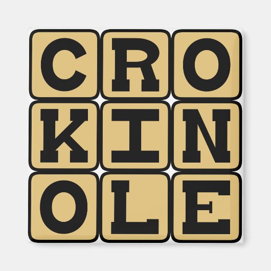 Crokinole, Brettspiel Magnet (Vorne)