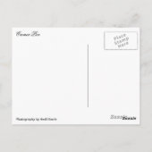Cromer Pier und Reflektion Postkarte (Rückseite)