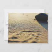 Cromer Seascape ,Flachgrusskarte. Karte (Rückseite)