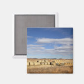 Crook County, Hay Bales Magnet (Vorderseite/Rückseite)
