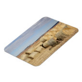 Crook County, Hay Bales Magnet (Linke Seite)