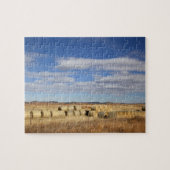 Crook County, Hay Bales Puzzle (Horizontal)